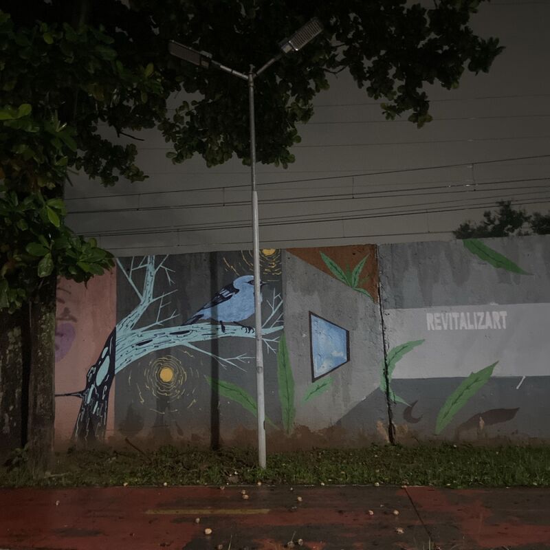 Imagem da publicação