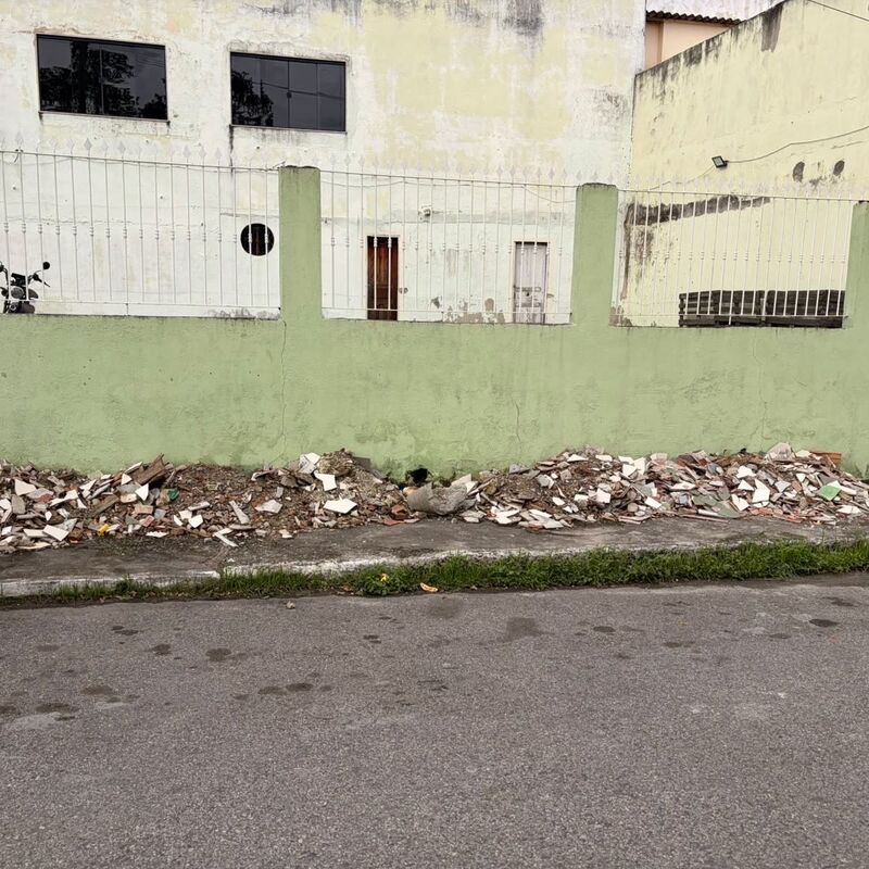Imagem da publicação