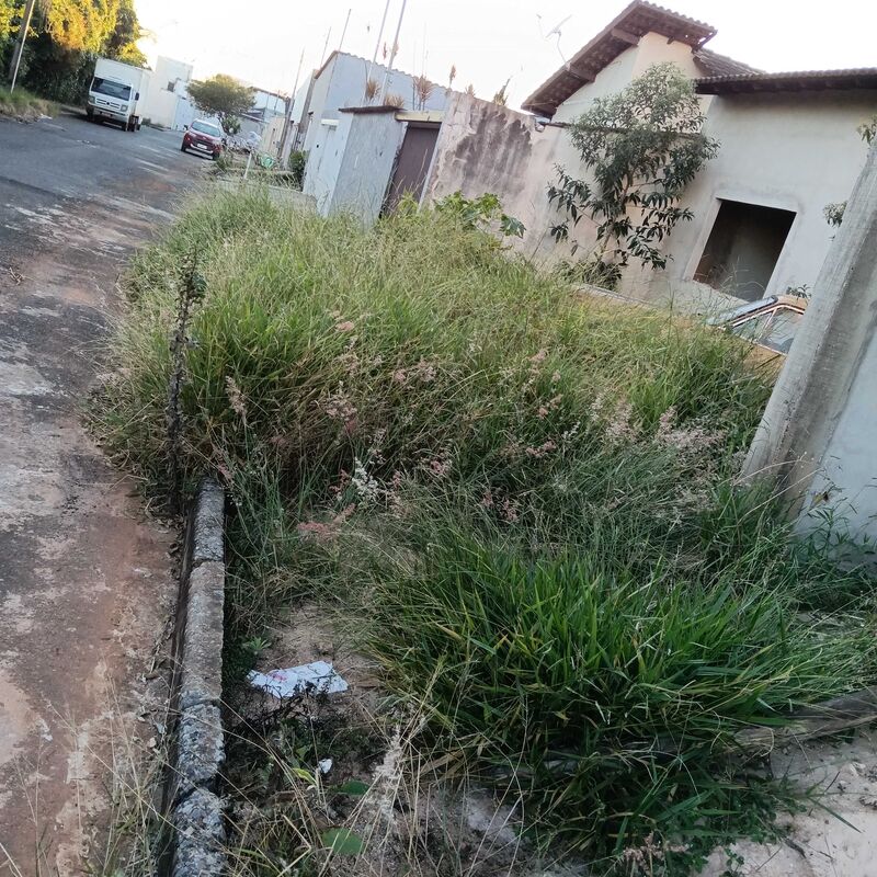 Imagem da publicação