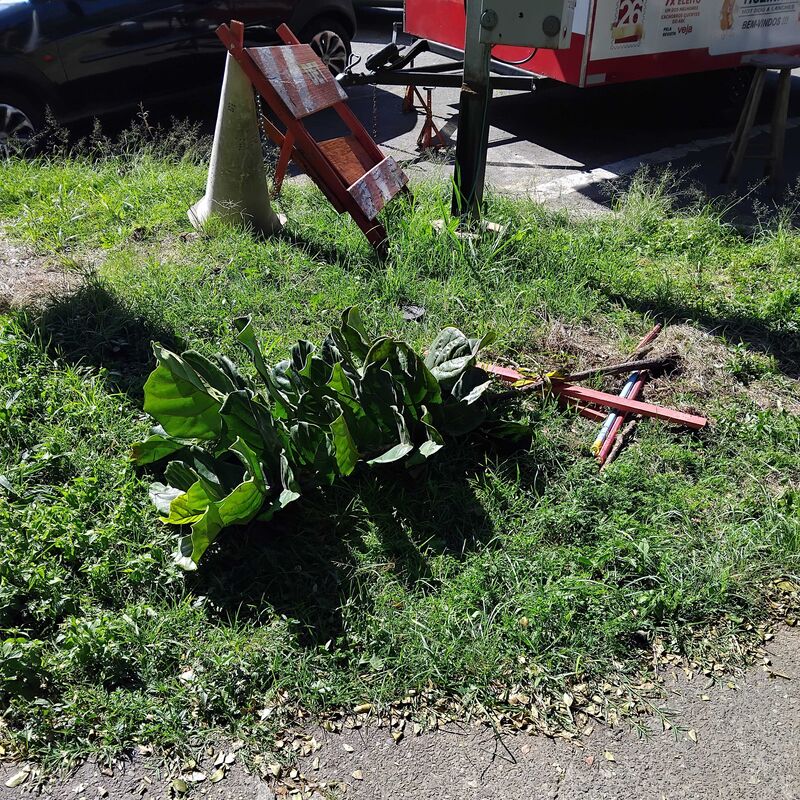 Imagem da publicação
