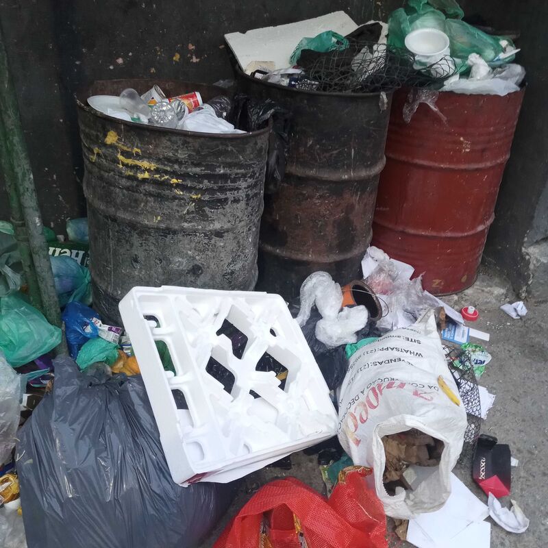 Imagem da publicação