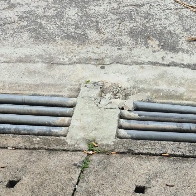 Imagem da publicação