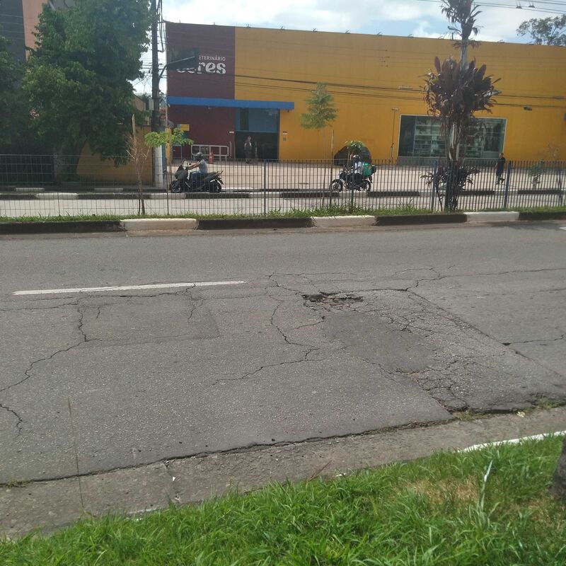 Imagem da publicação