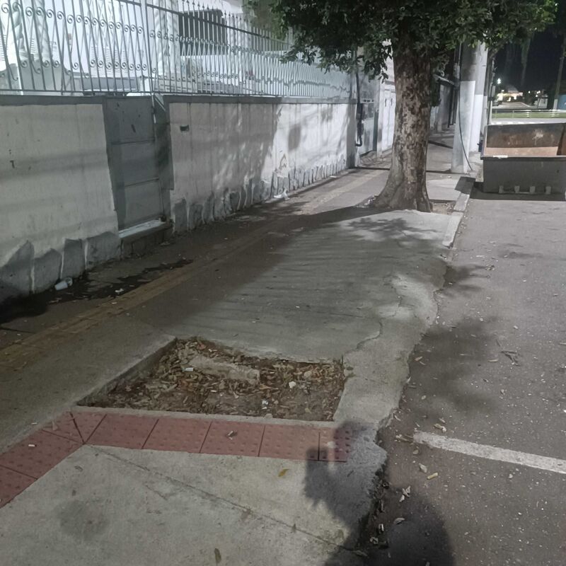 Imagem da publicação