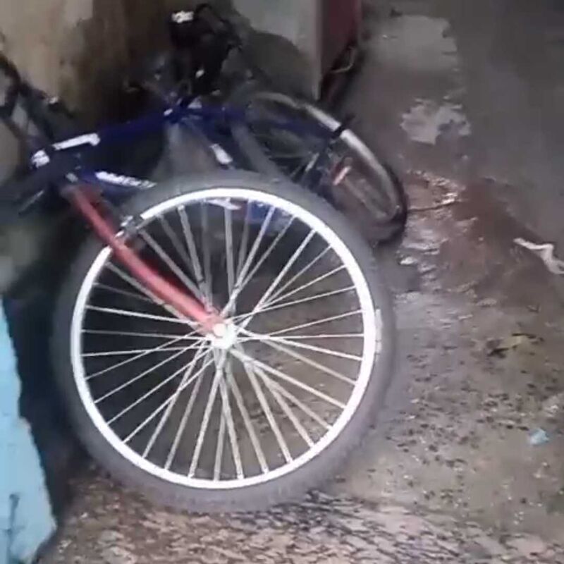 Imagem da publicação