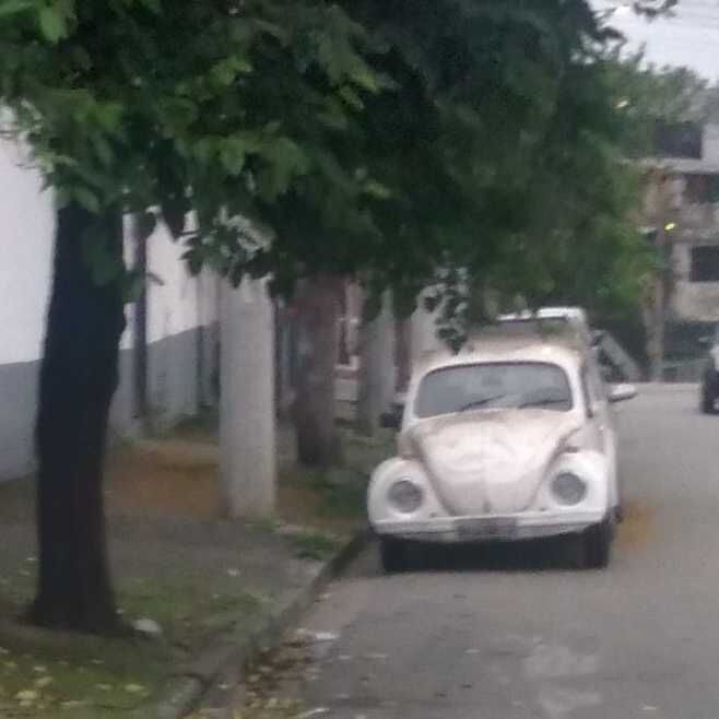 Imagem da publicação