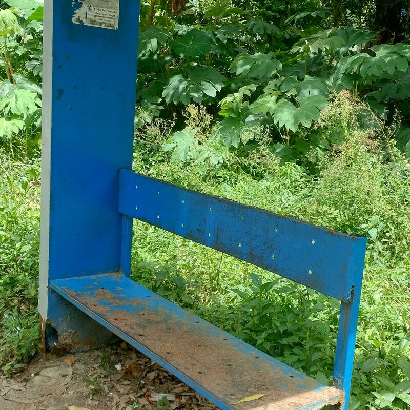 Imagem da publicação