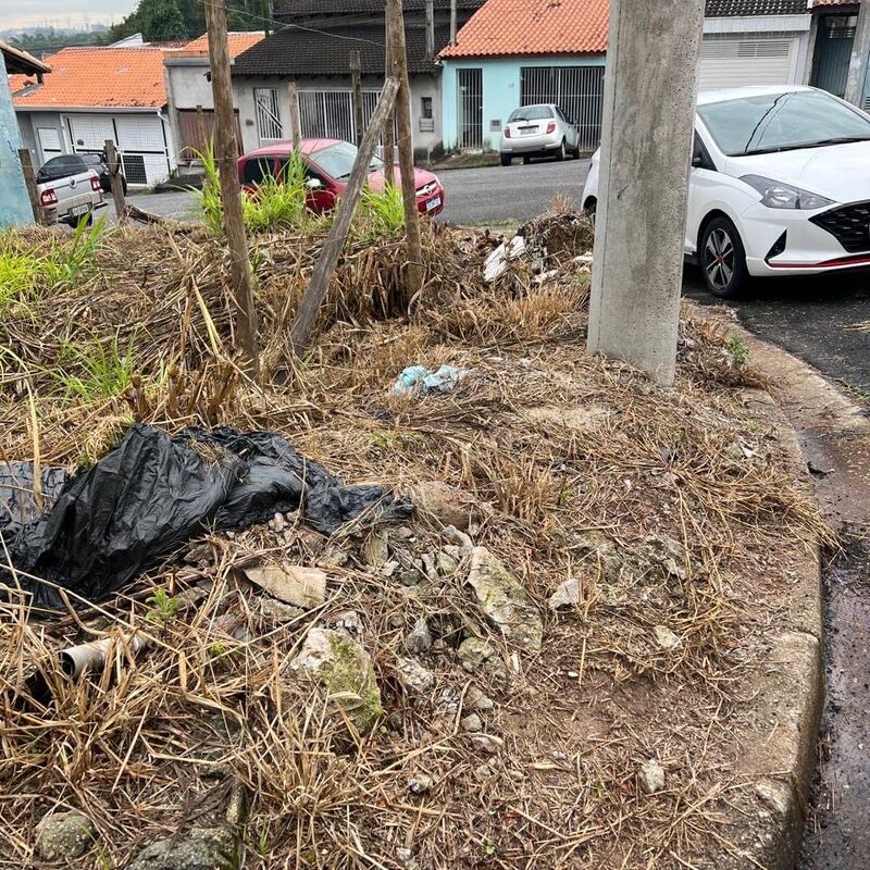 Imagem da publicação