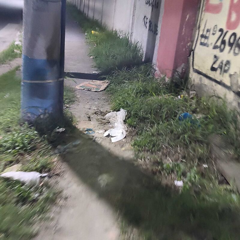 Imagem da publicação