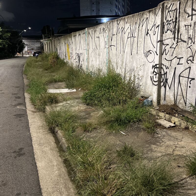 Imagem da publicação