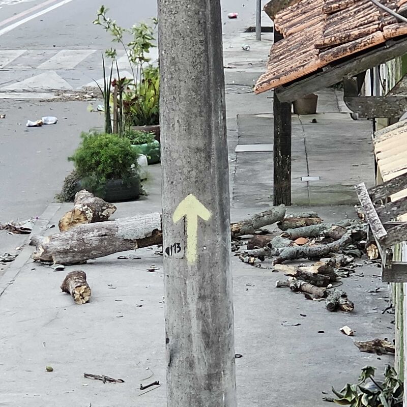 Imagem da publicação
