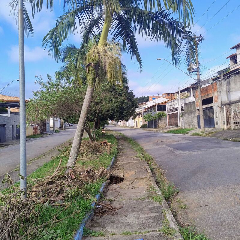 Imagem da publicação