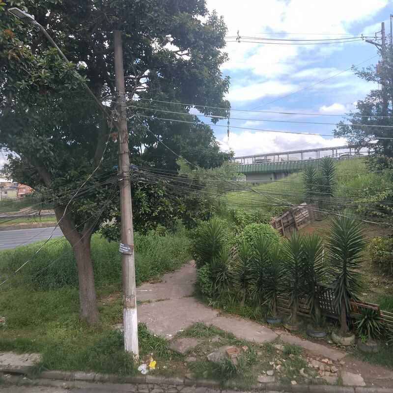 Imagem da publicação