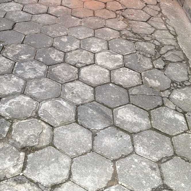Imagem da publicação