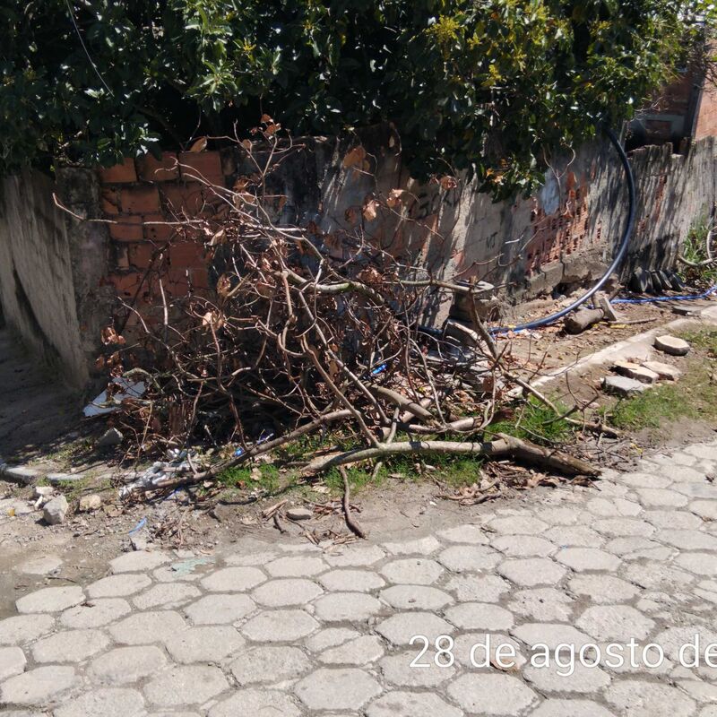Imagem da publicação