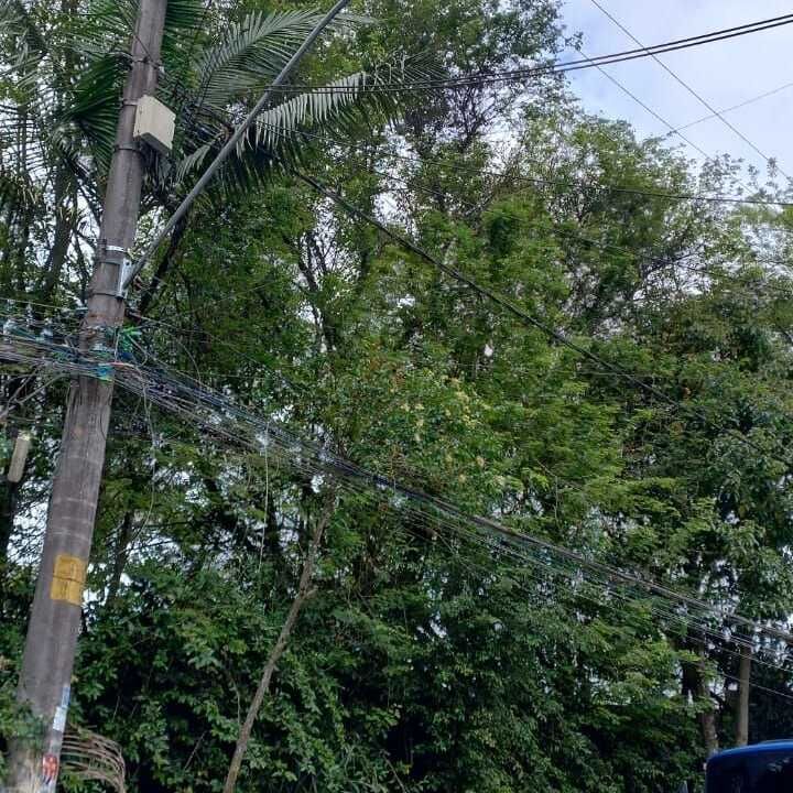 Imagem da publicação