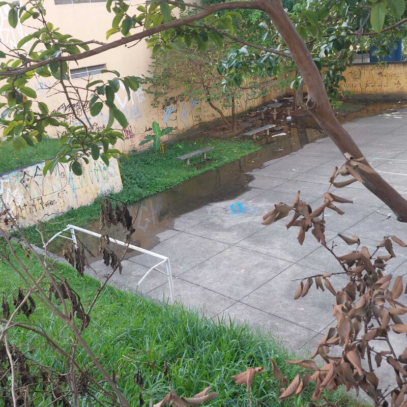 Imagem da publicação