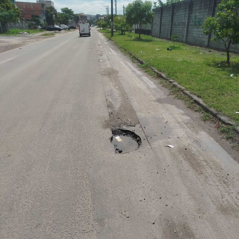 Imagem da publicação