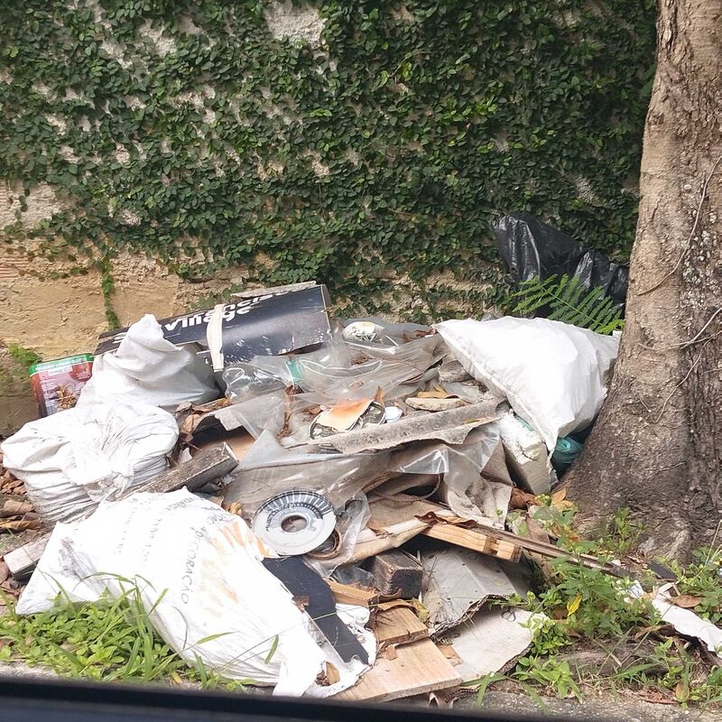 Imagem da publicação