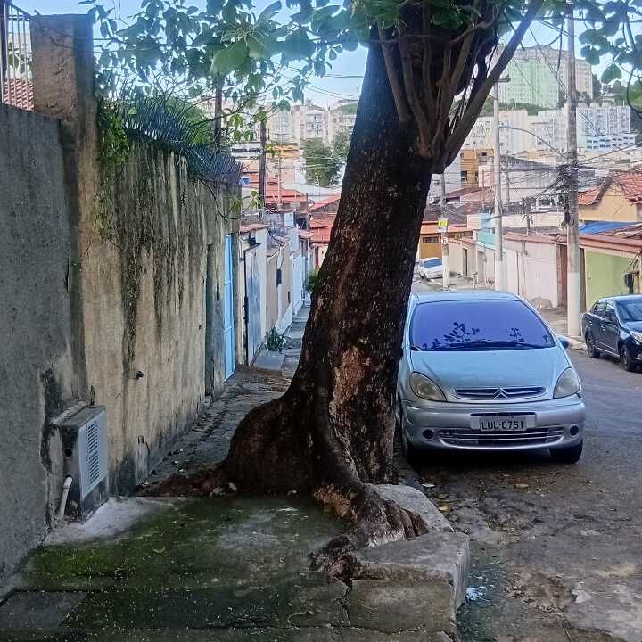 Imagem da publicação