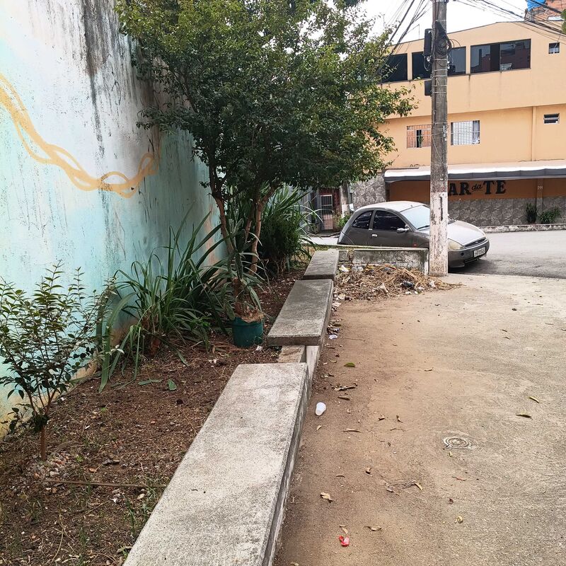 Imagem da publicação