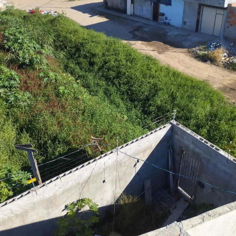 Imagem da publicação