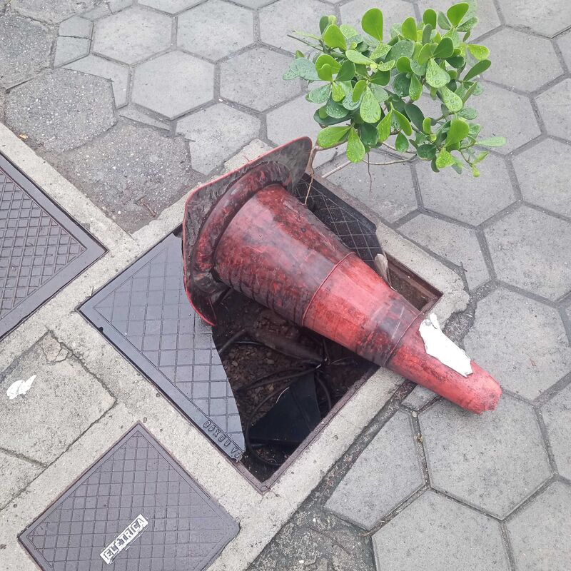 Imagem da publicação