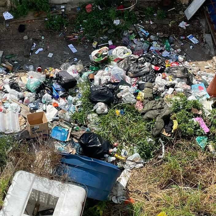 Imagem da publicação