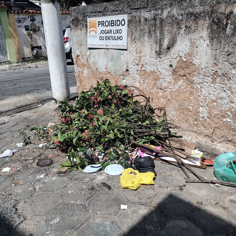 Imagem da publicação