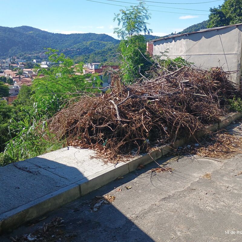 Imagem da publicação