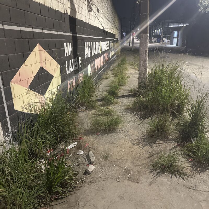 Imagem da publicação