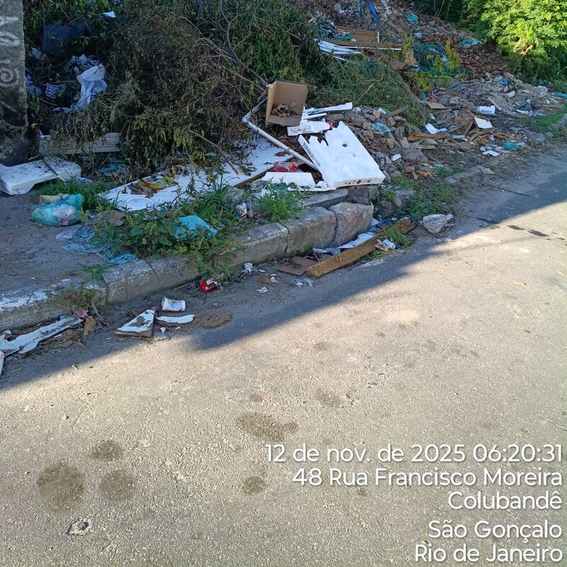 Imagem da publicação