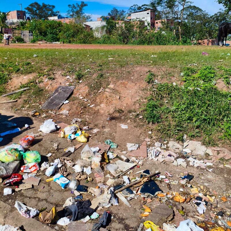 Imagem da publicação