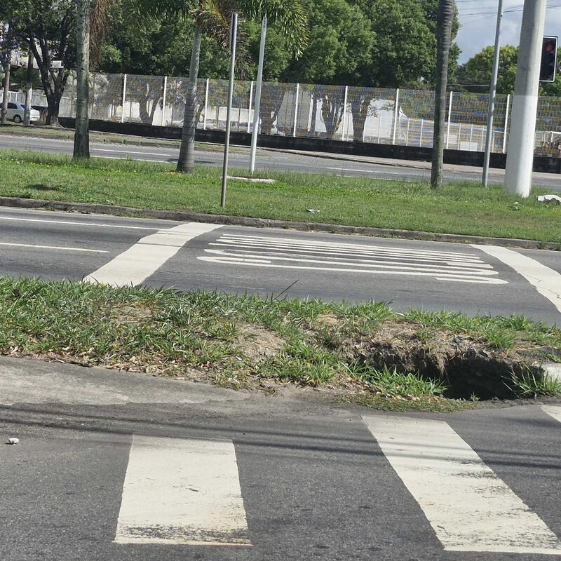 Imagem da publicação