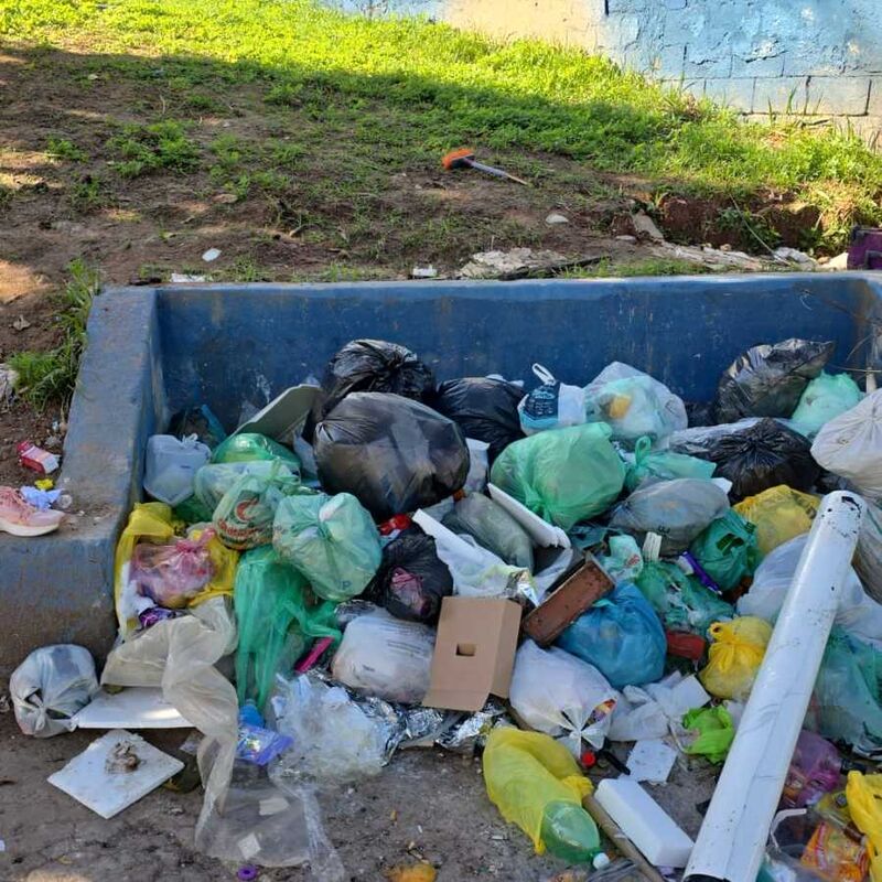 Imagem da publicação