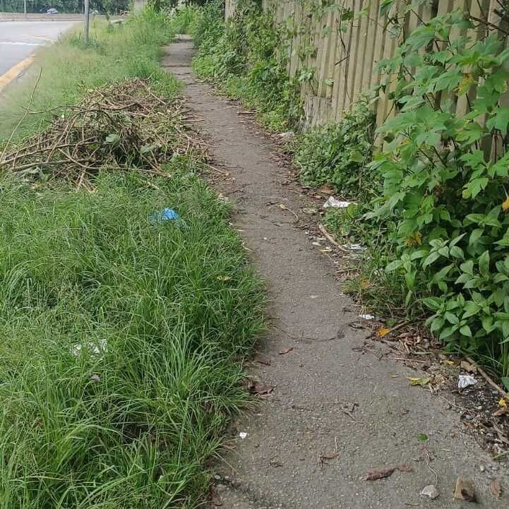 Imagem da publicação