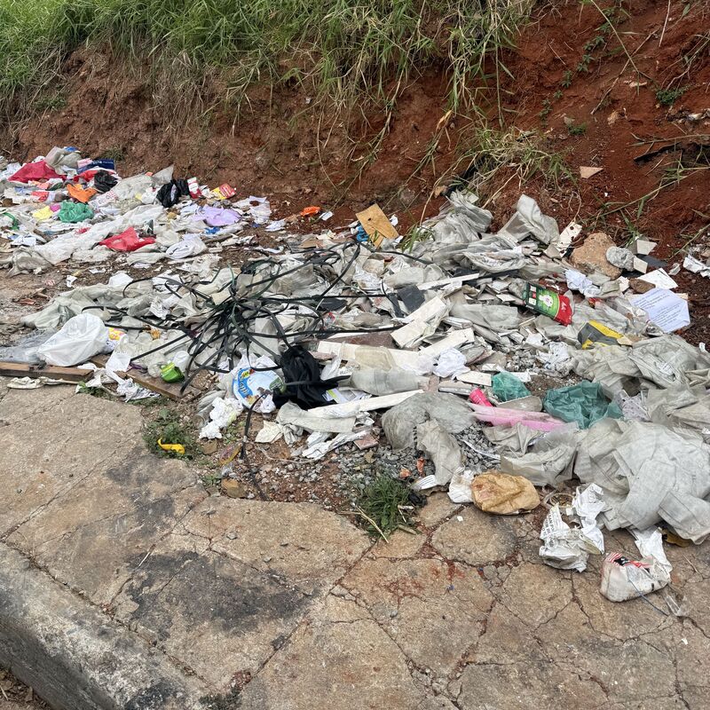 Imagem da publicação
