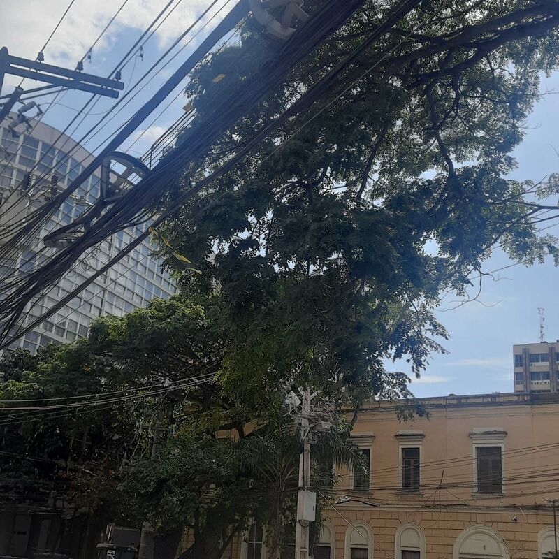 Imagem da publicação