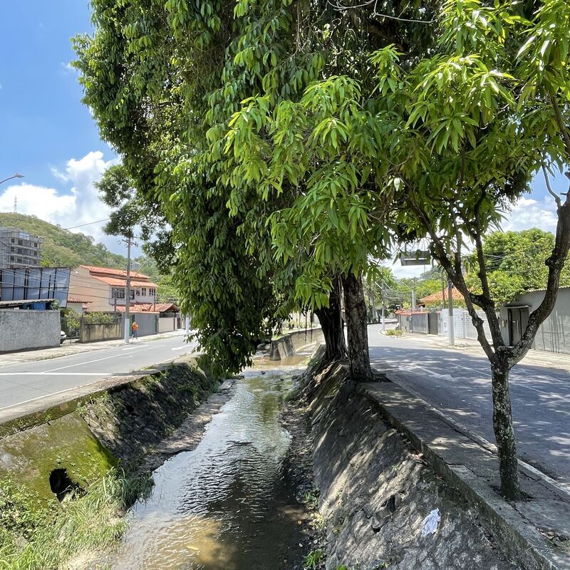 Imagem da publicação