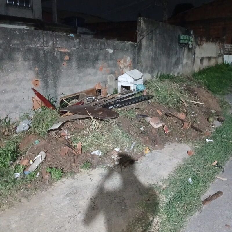 Imagem da publicação