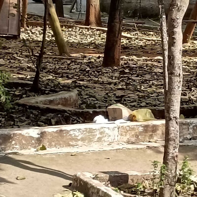 Imagem da publicação