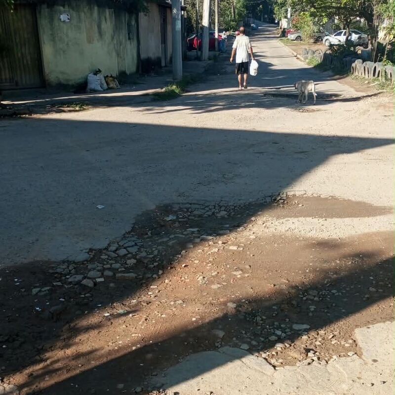 Imagem da publicação