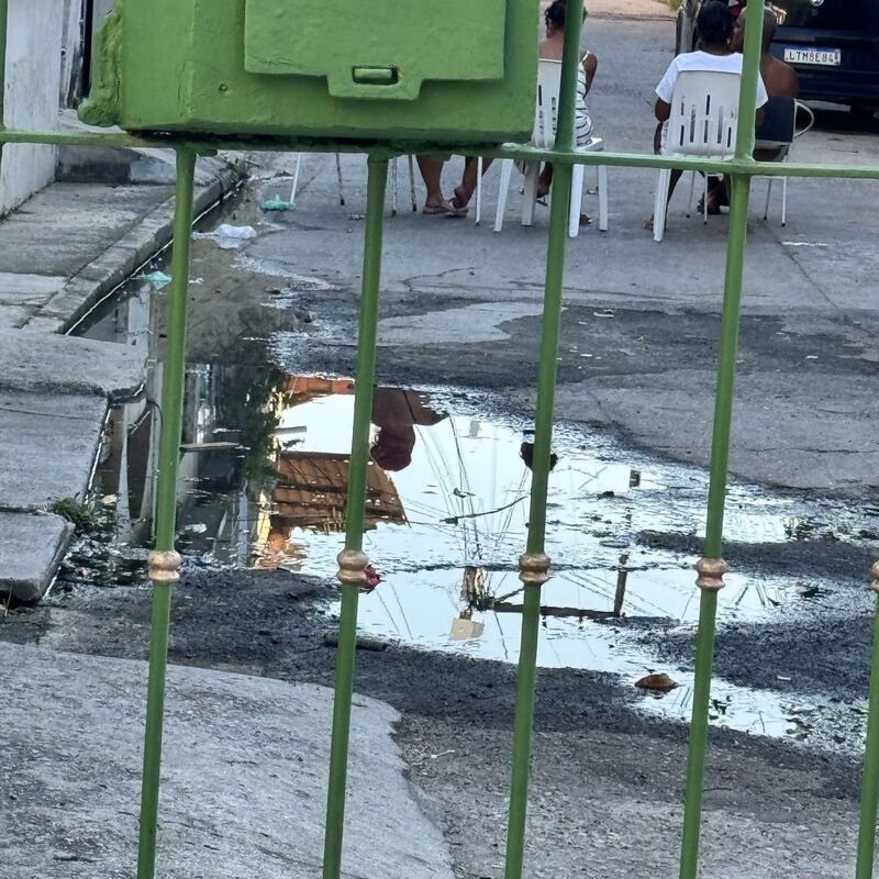 Imagem da publicação