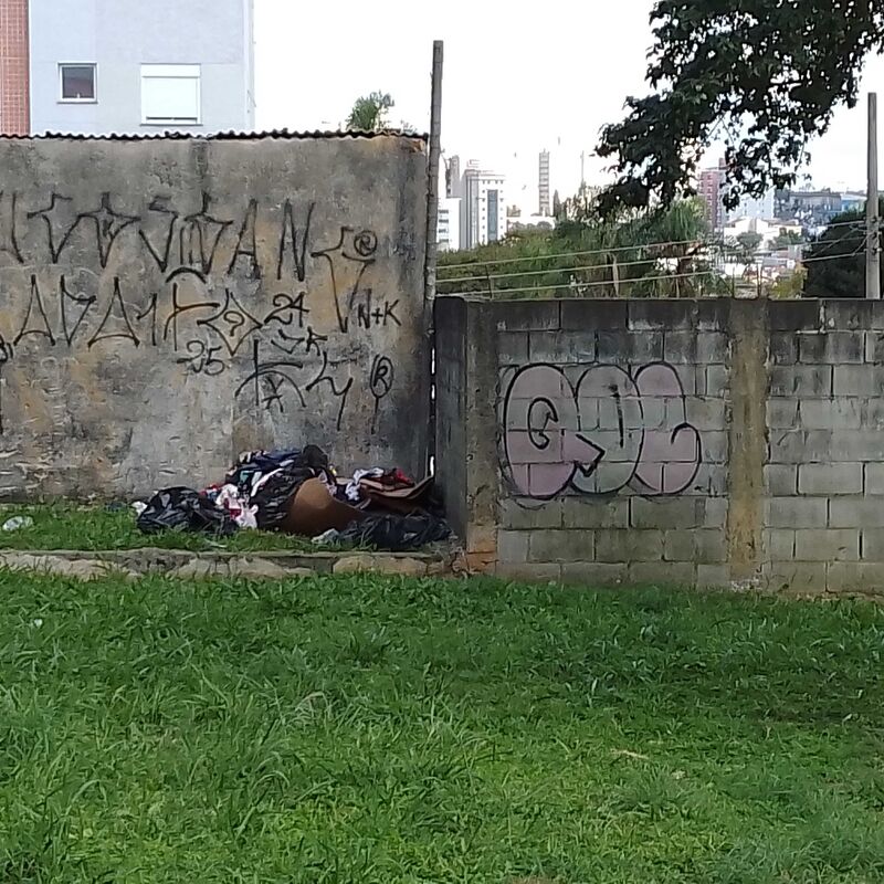 Imagem da publicação
