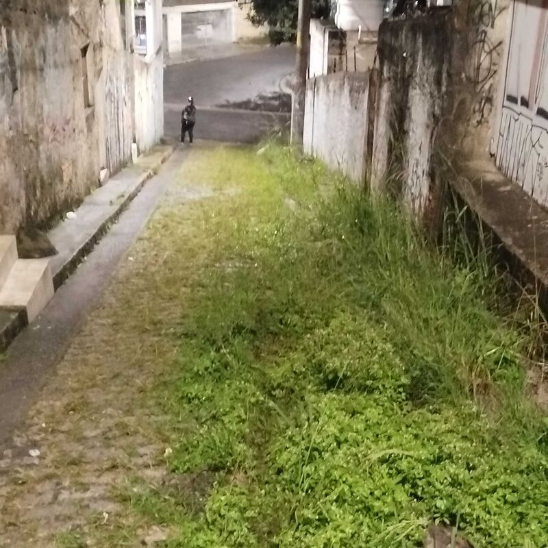 Imagem da publicação