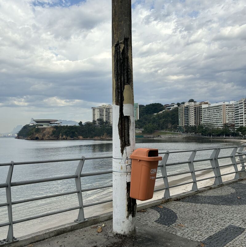 Imagem da publicação