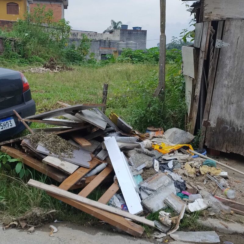 Imagem da publicação