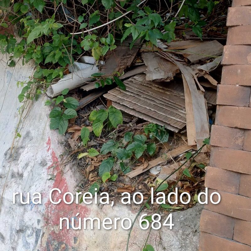 Imagem da publicação