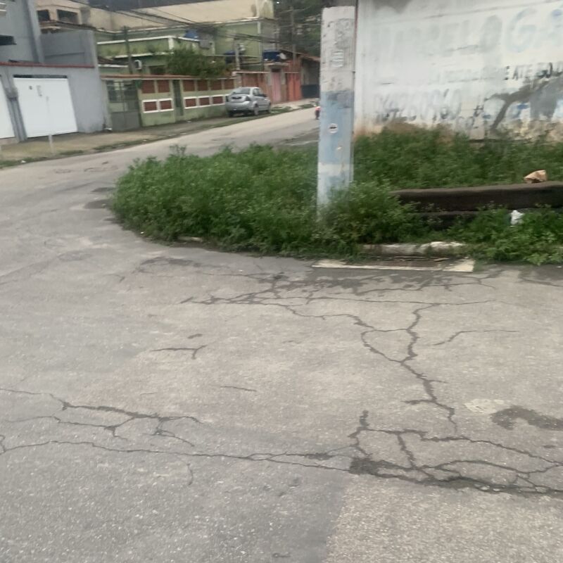 Imagem da publicação