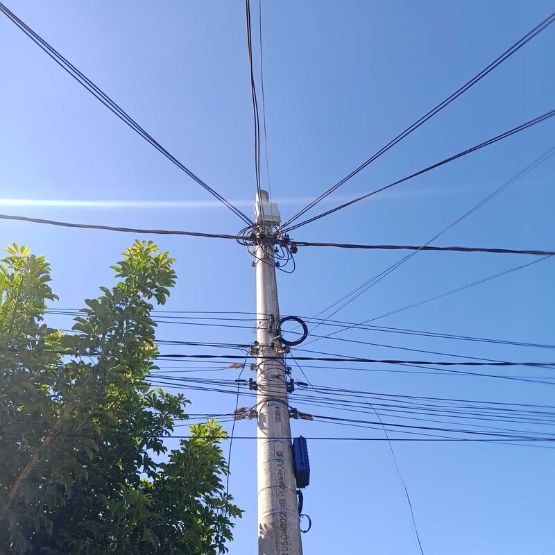 Imagem da publicação